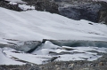 Jasper NP 'Columbia Icefield - Athabasca Glacier' 18_09_2011 (64)